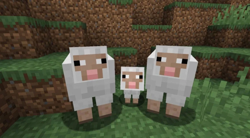 Lợi ích và cách thu hoạch len cừu Minecraft