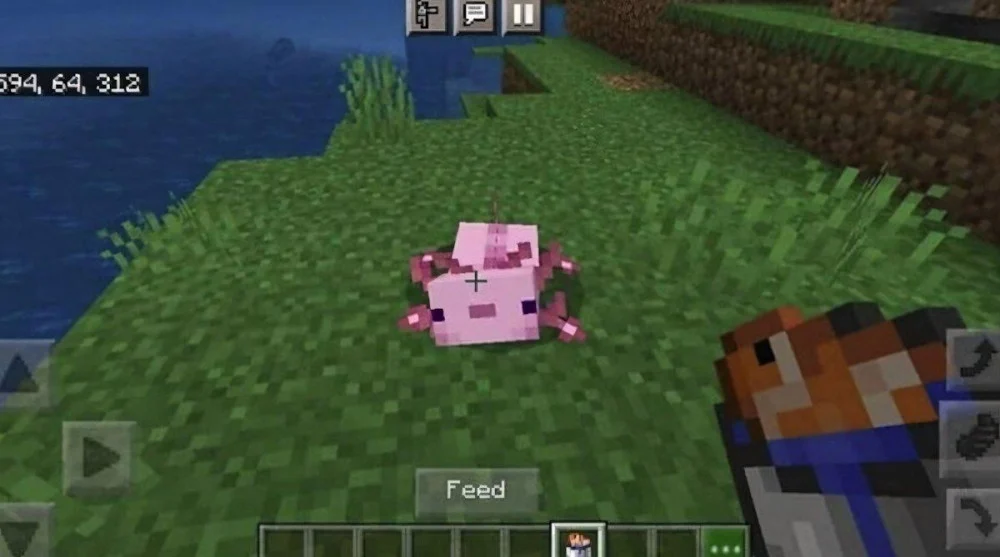 Thời điểm ăn tối ưu để hồi máu trong Minecraft