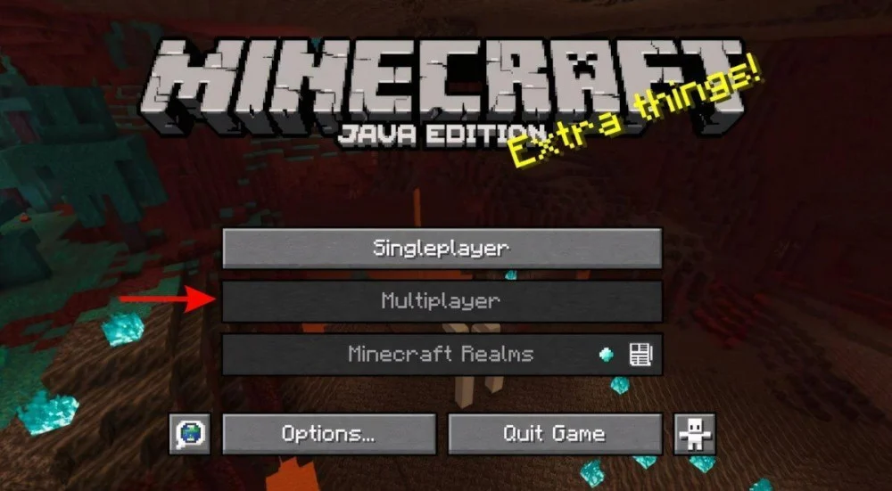 Mở trò chơi, truy cập danh mục Multiplayer để kết nối