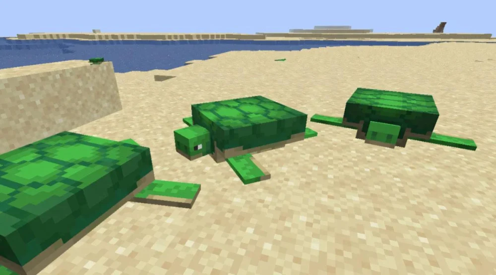 Cách nuôi rùa và thu hoạch vảy rùa Minecraft
