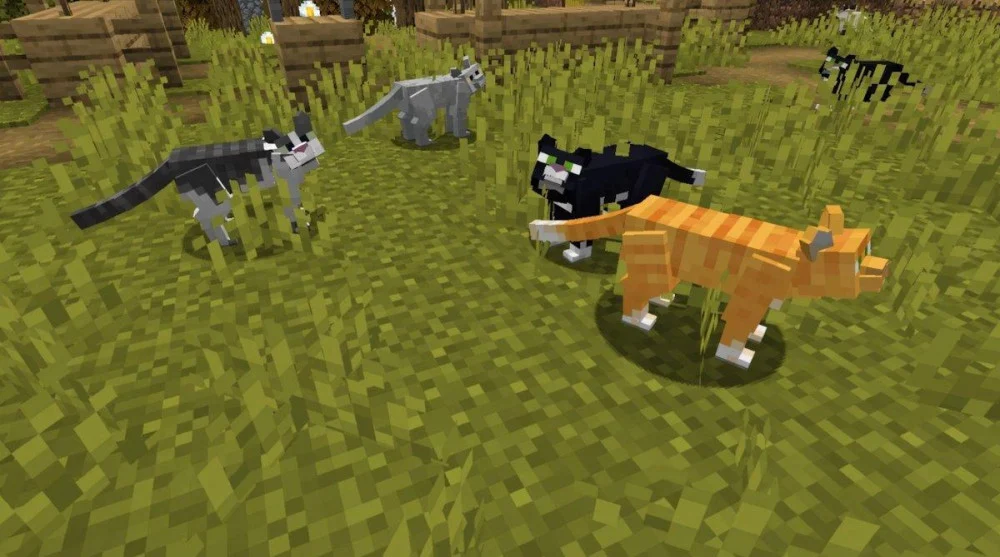 Vật phẩm rơi ra khi mèo chết trong Minecraft
