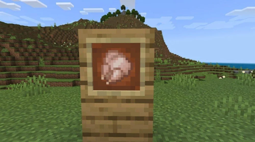 Các loại thực phẩm gây độc cần tránh Minecraft