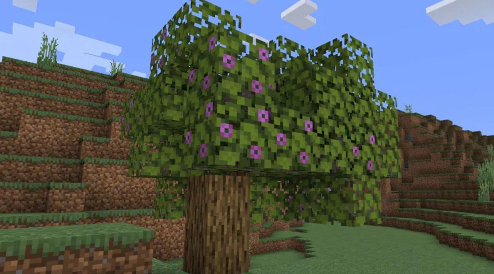 Đặc điểm và vị trí của cây đỗ quyên Minecraft