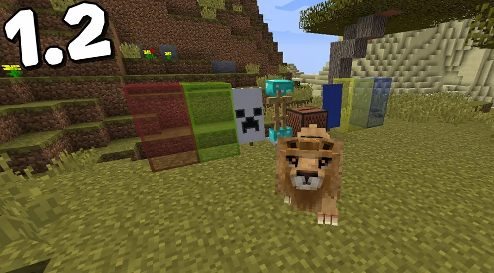 Minecraft Java Edition với hướng dẫn cập nhật