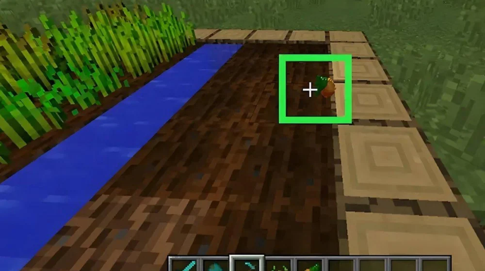 Cách gieo trồng cà rốt trực tiếp xuống đất Minecraft