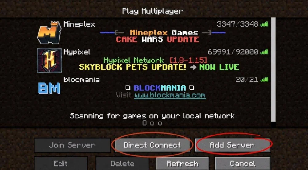 Mở Multiplayer, chọn Add Server hoặc Direct Connection