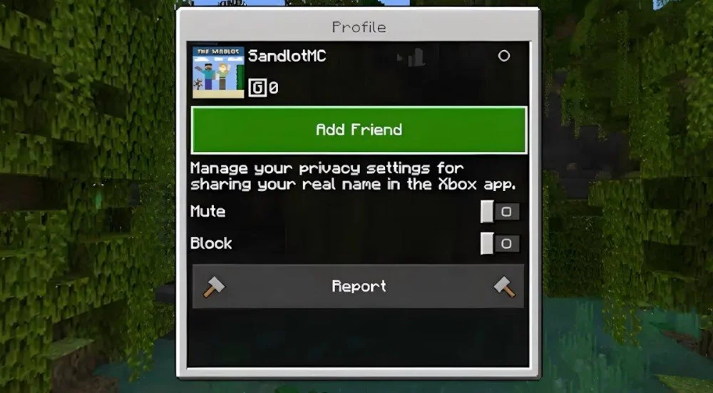 Nhập Gamertag, chọn Add Friend hoặc Favorite để lưu