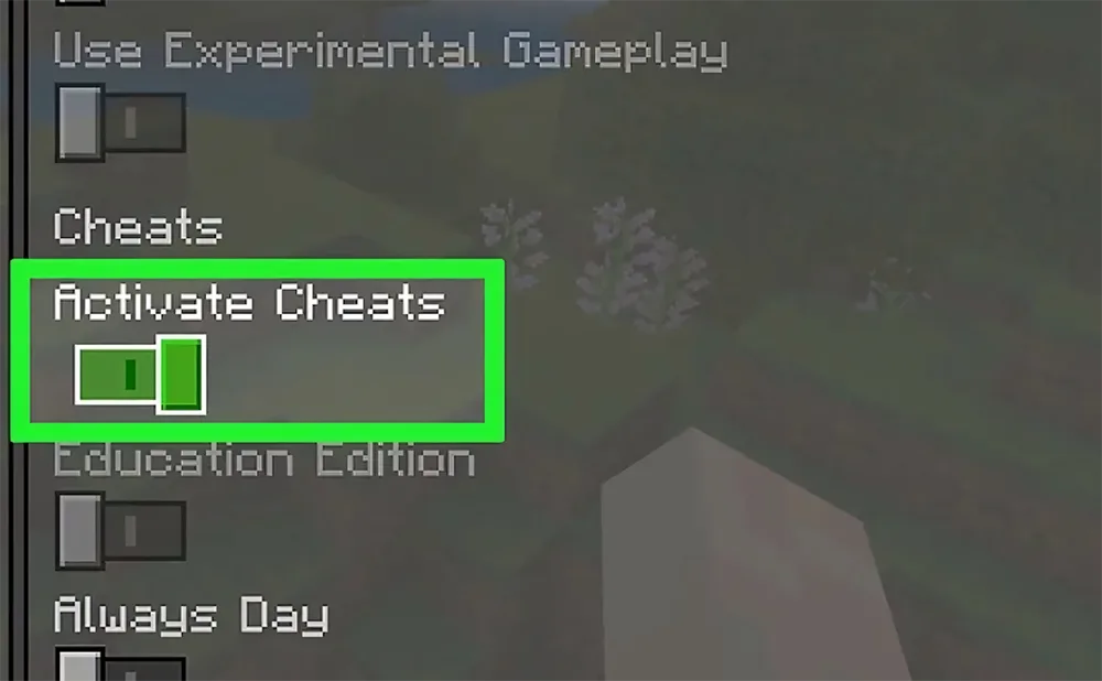 Bật Activate Cheats trong cài đặt để sử dụng lệnh