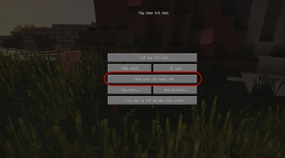 Nhấn Esc trong thế giới Minecraft rồi chọn Công khai