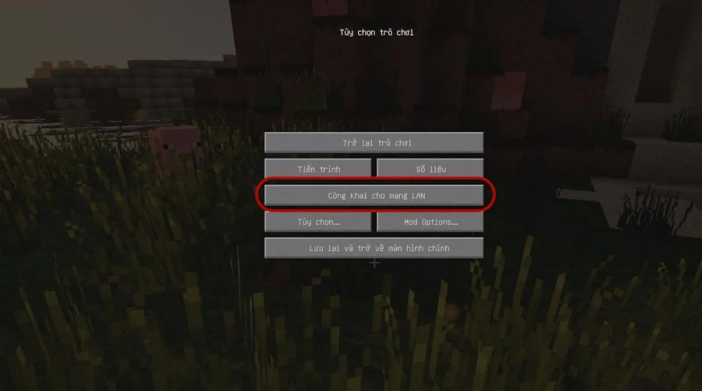 Cách mở thế giới Minecraft chơi chung qua mạng LAN