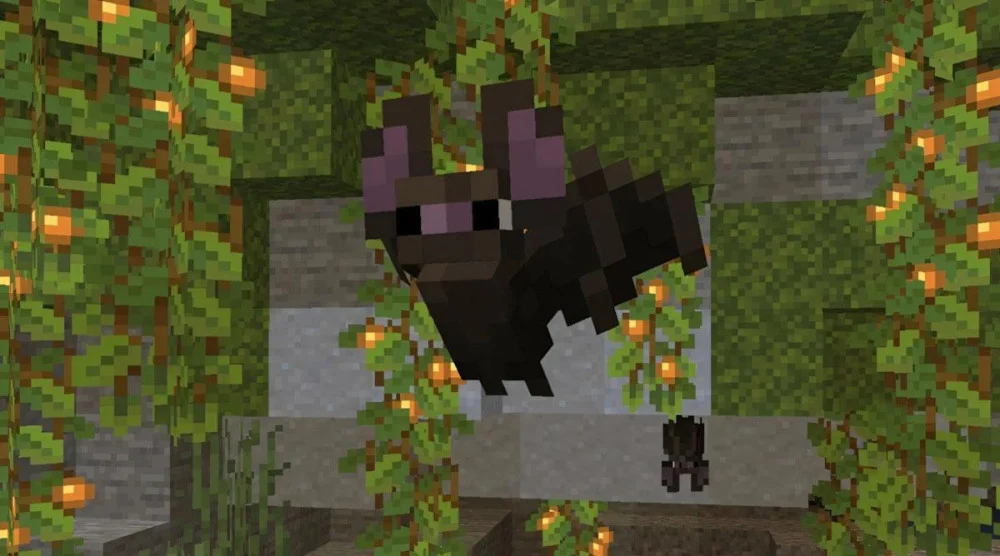 Các thắc mắc về bản cập nhật Minecraft 1.20.50 mới nhất.