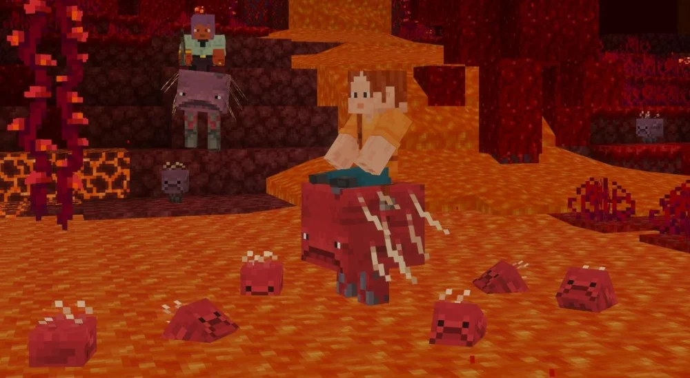 Câu hỏi thường gặp về tính năng Minecraft 1.26.13