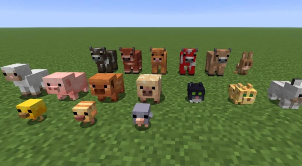 Thắc mắc phổ biến về Minecraft phiên bản 1.26.23
