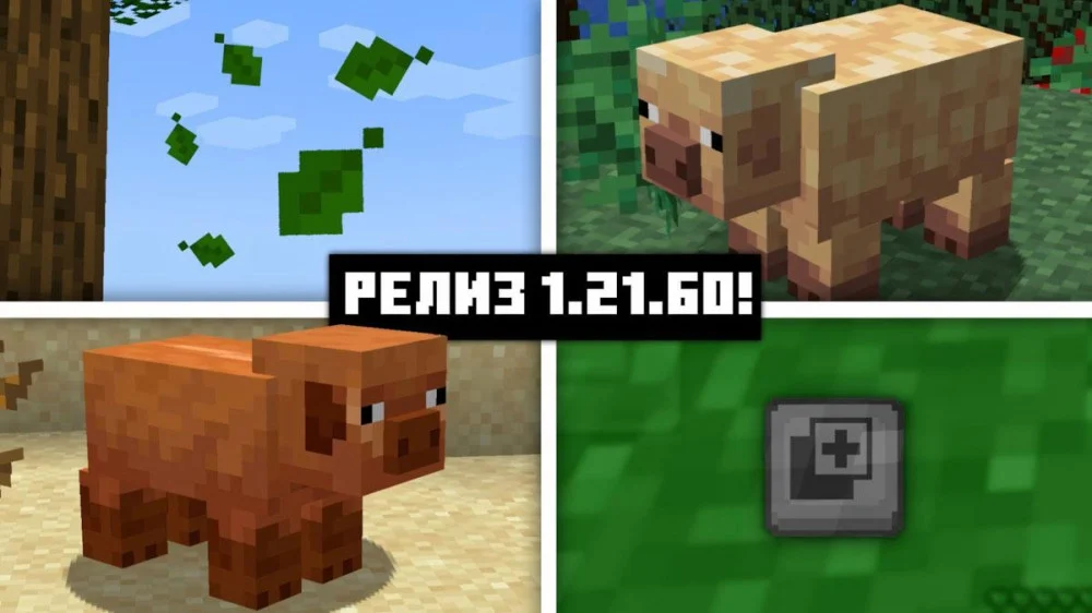 Giải đáp câu hỏi thường gặp về cập nhật Minecraft 1.21.60
