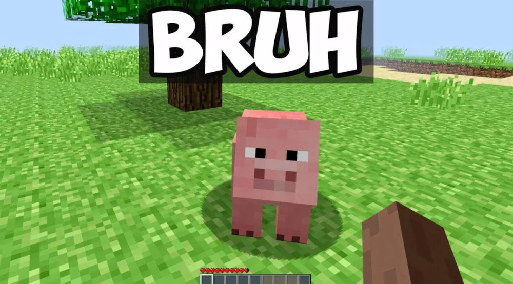 Minecraft 1.14 với cơ chế vận hành và giải thích câu hỏi