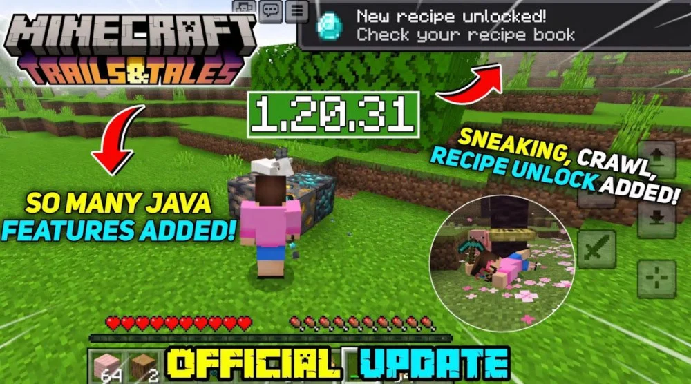 Thông tin cập nhật Trails and Tales, tối ưu hóa Minecraft 1.20.31