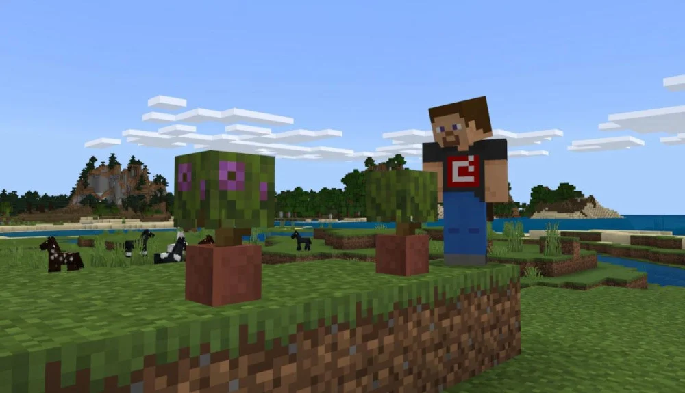 Giải đáp mẹo chơi Minecraft 1.18.0 hiệu quả nhất