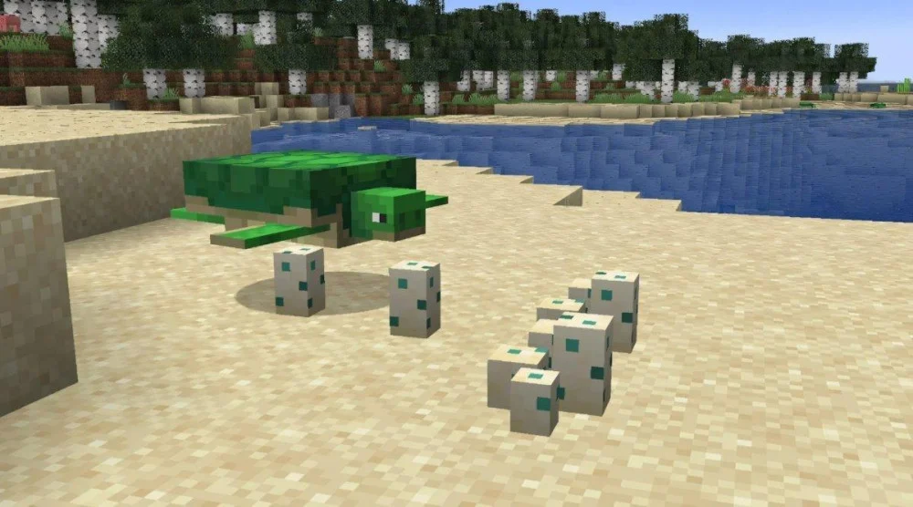 Xây hàng rào bảo vệ trứng rùa Minecraft khỏi quái vật