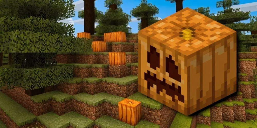 Vị trí và điều kiện tự nhiên mọc bí ngô Minecraft