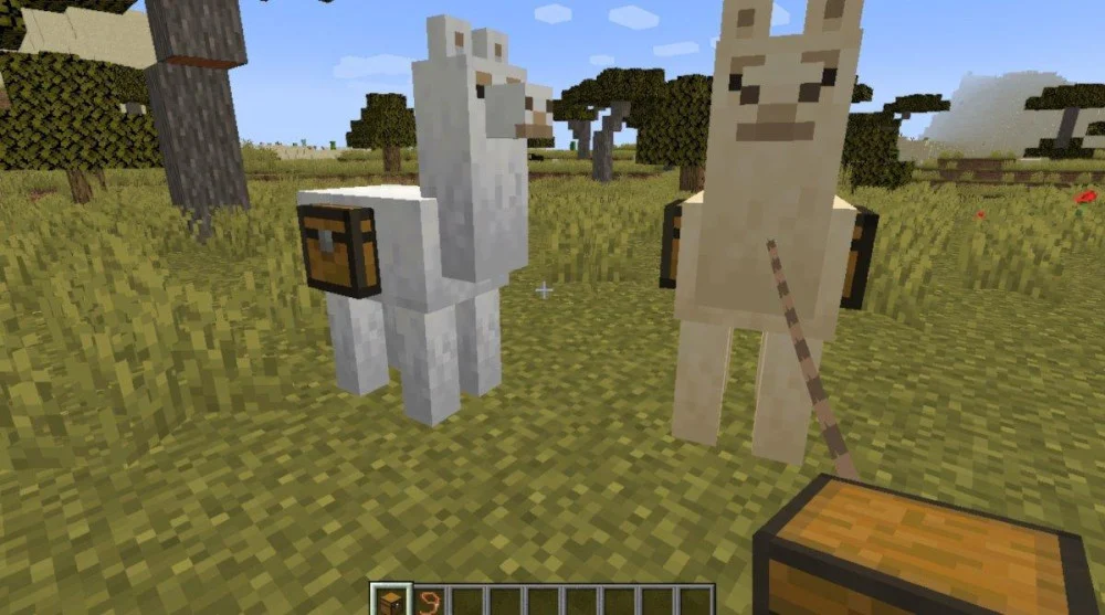 Lợi ích vận chuyển vật phẩm của lạc đà Minecraft