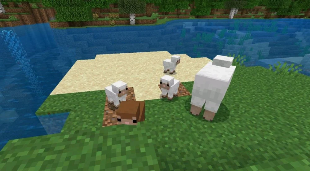 Tìm hiểu hiệu năng Minecraft 1.26.30 với phiên bản cũ
