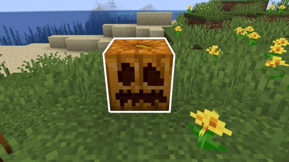 Công dụng và hướng dẫn trồng bí ngô Minecraft