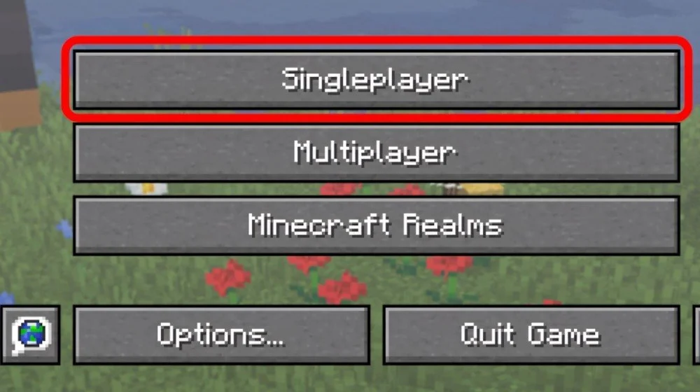 Chọn Singleplayer tại màn hình chính để bắt đầu