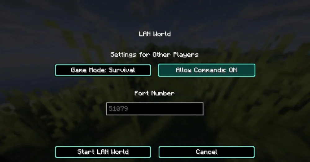 Bật Allow Cheats để sử dụng các lệnh trong trò chơi